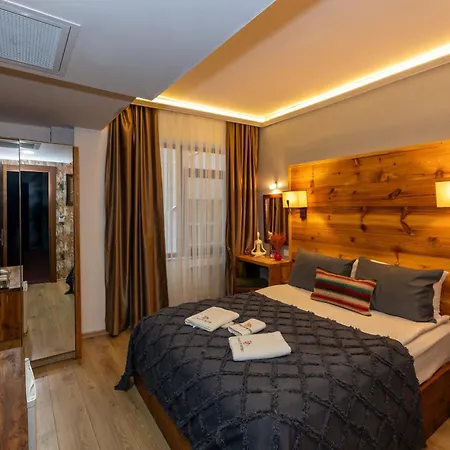 达布迪迪酒店 2* 伊斯坦布尔